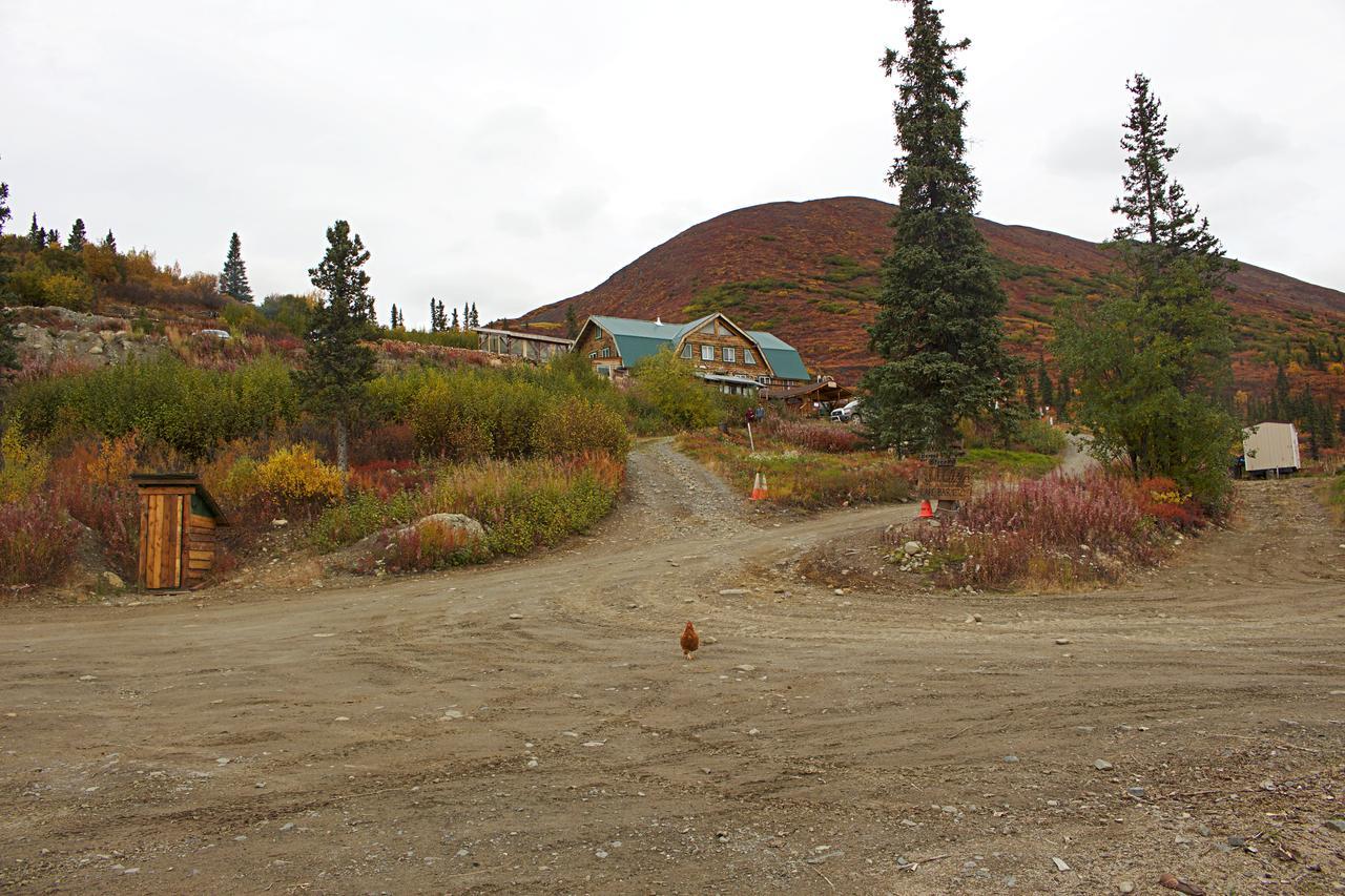 Alpine Creek Lodge Cantwell Eksteriør bilde